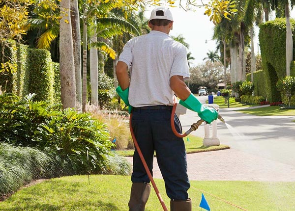 About Garnett SC Pest Control Pros